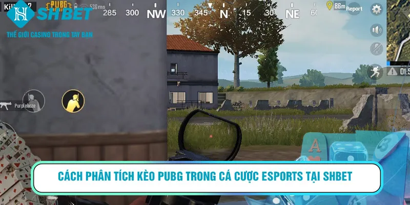 Cách phân tích kèo PUBG trong cá cược Esports tại SHBET