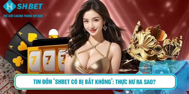 Tin đồn ‘SHBET có bị bắt không’: Thực hư ra sao?
